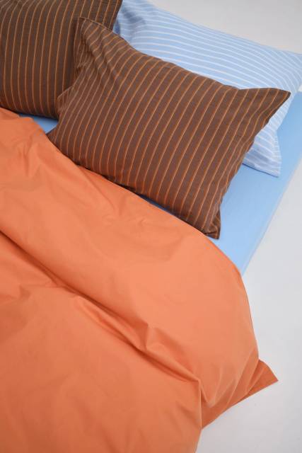 ПАЛИ(САД)НИК