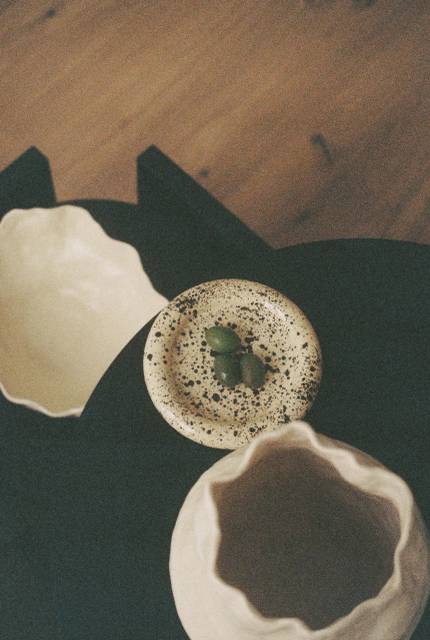 Lulu plate splash