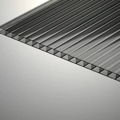 Полигаль Восток