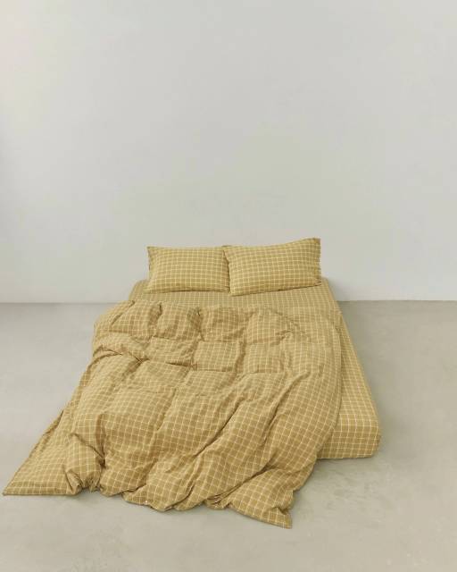 ПАЛИ(САД)НИК