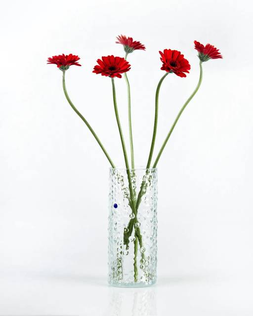 Полина Брагинец