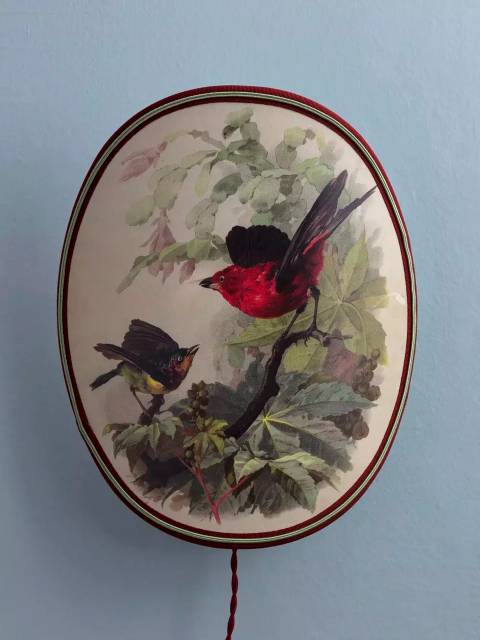 Настенный светильник Birds & Butterflies