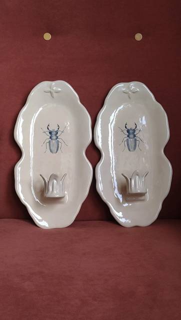 настенный Важный Жук