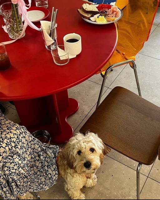 Стол «Цветочек» 100 см