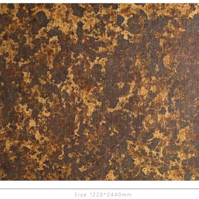 Декоративная нержавеющая сталь Vintage Carapace spotted stone