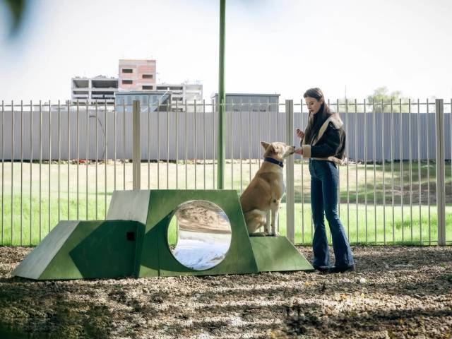 Собакин город