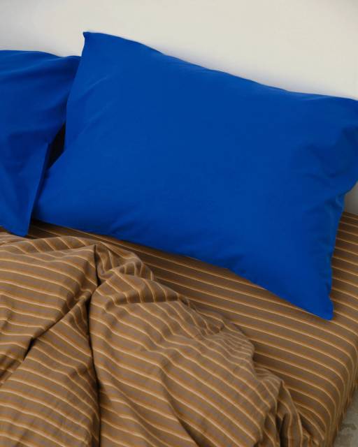 ПАЛИ(САД)НИК