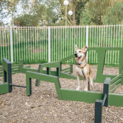 Собакин город