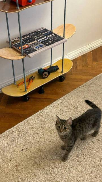 скейт-стеллаж