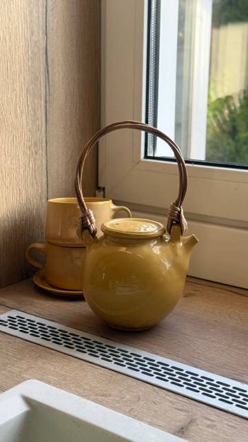 Чайник "Манго" с ручкой из эко-лозы, 850 мл