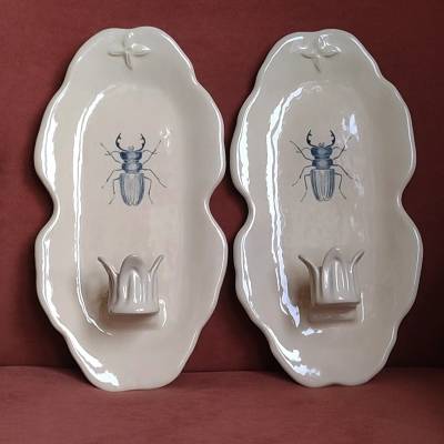 настенный Важный Жук