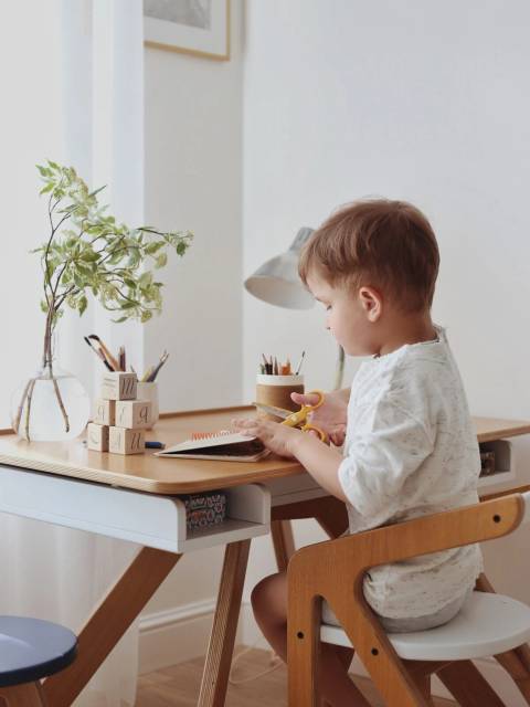 Стол - Мольберт Malevich