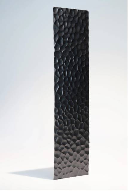 Декоративная нержавеющая сталь 3D Matt Dragon skin Black Middle