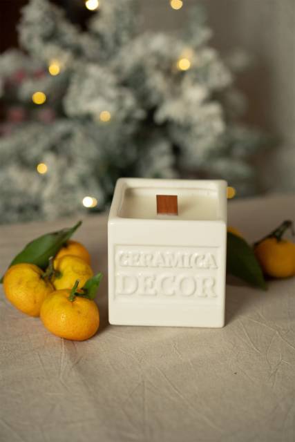 в керамическом подсвечнике