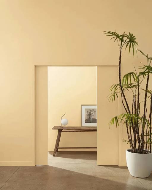 Benjamin Moore