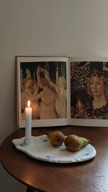 из полуфарфора