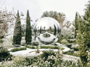 9 Telegram-каналов о ландшафтном дизайне: практический опыт проектирования и ухода