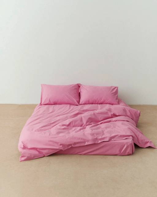 ПАЛИ(САД)НИК