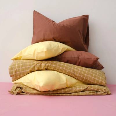 ПАЛИ(САД)НИК